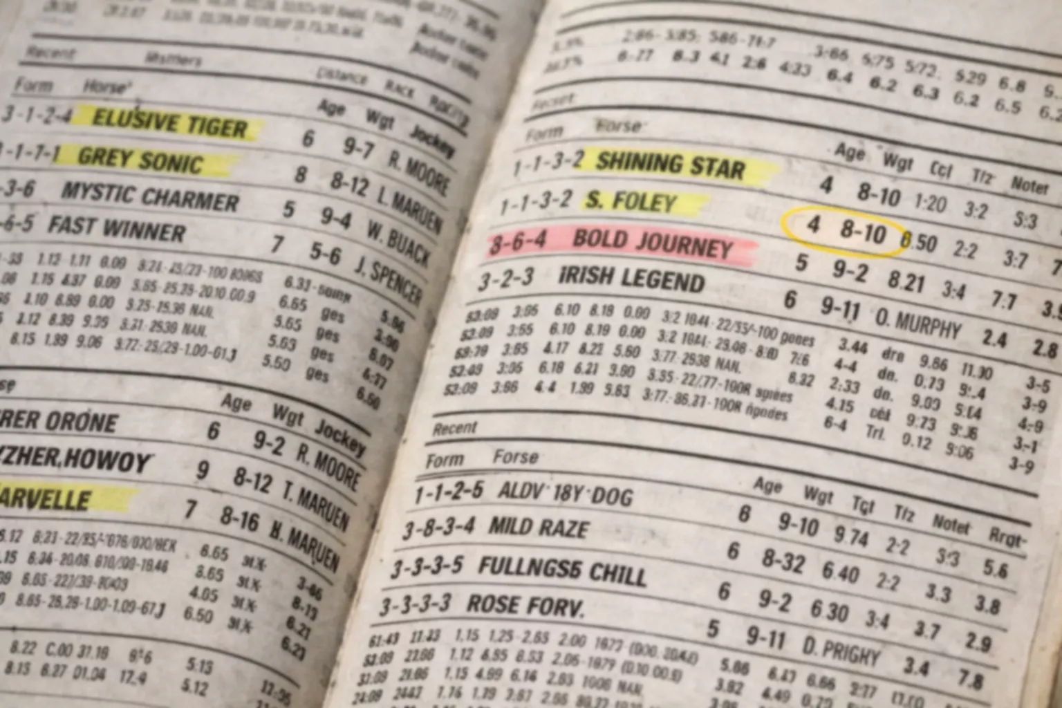 Detaillierte Rennkarte mit Formzahlen und Statistiken mehrerer Pferde